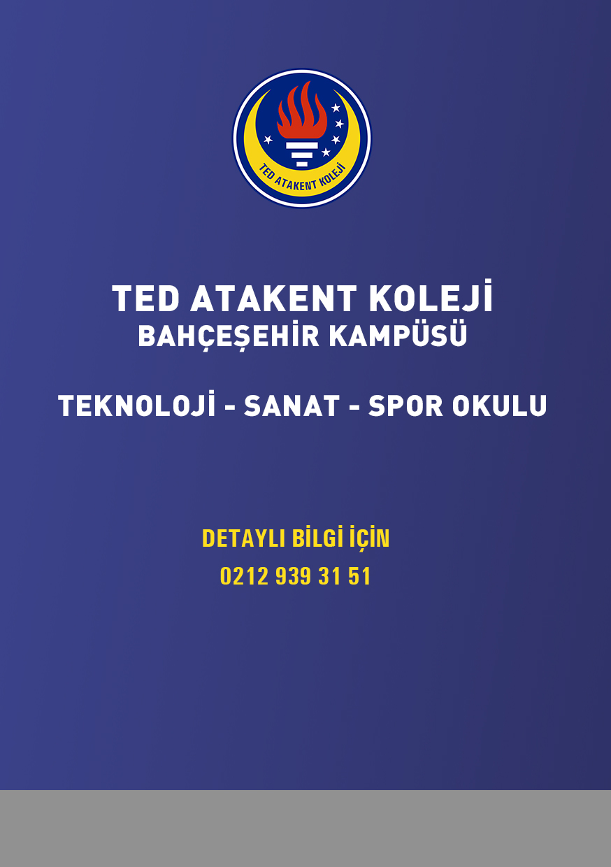 Teknoloji – Sanat – Spor Okulu
